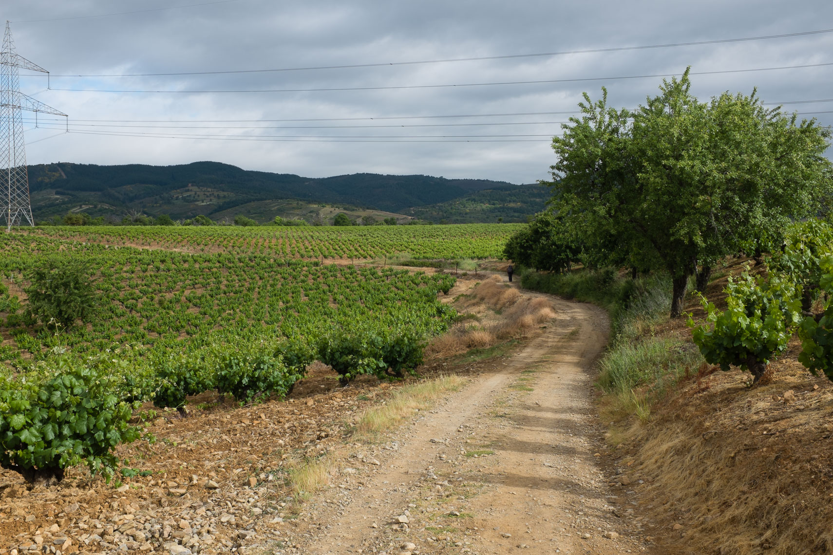 2014-0506-MayJune-TRAVEL-Camino-1242
